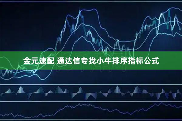 金元速配 通达信专找小牛排序指标公式